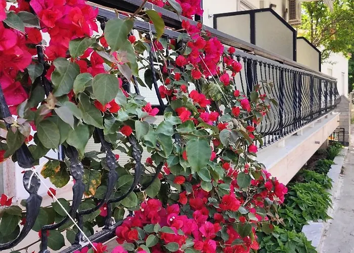 Mare Guest house Prinos (Thasos)